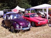 Beetle Show Rioz (60)